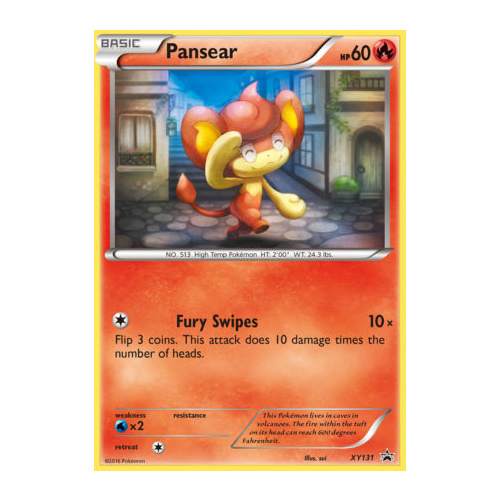 Pansear XY131 XY Black Star Promo Pokemon Card NEAR MINT TCG